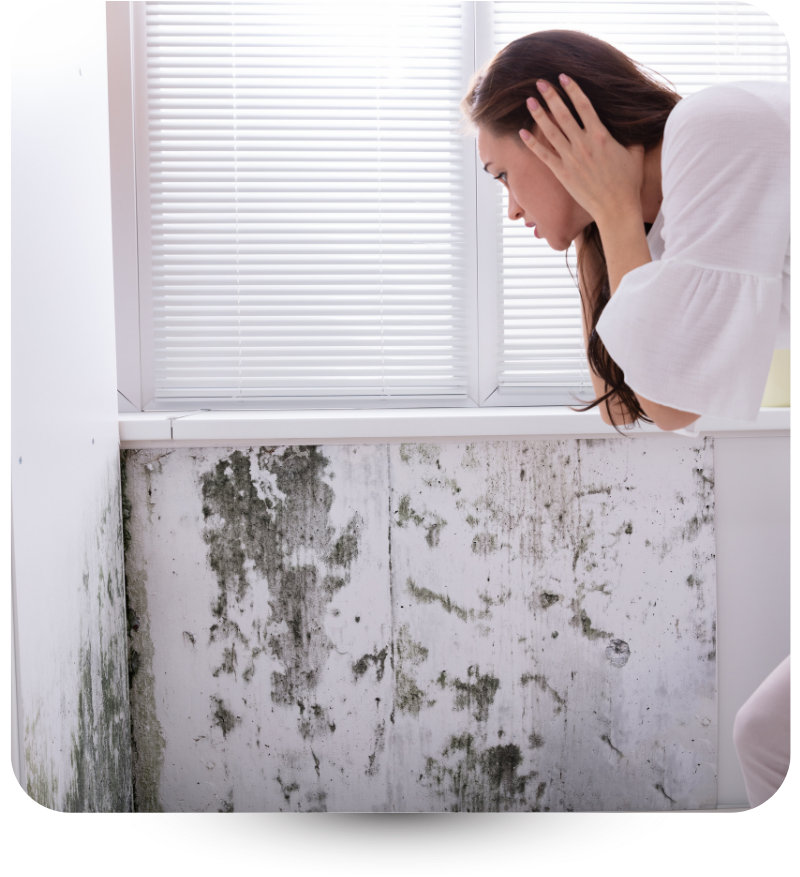 mold around leaking windows